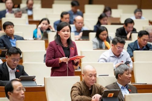 Đại biểu Quốc hội 'hiến kế' gỡ chồng chéo trong quy hoạch đô thị và nông thôn