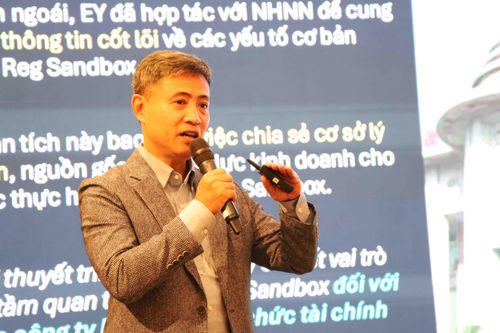 Ưu tiên bảo vệ ổn định tiền tệ và ngăn ngừa rủi ro 'đô la hóa số'