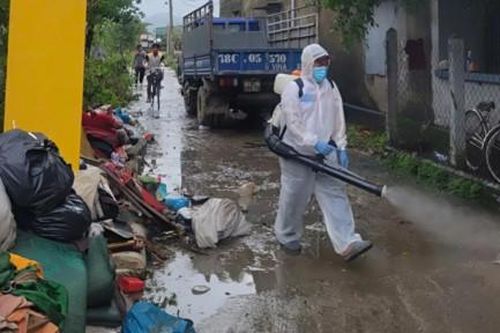 Cần xử lý nhanh xác gia súc, gia cầm để phòng, chống dịch bệnh sau lũ