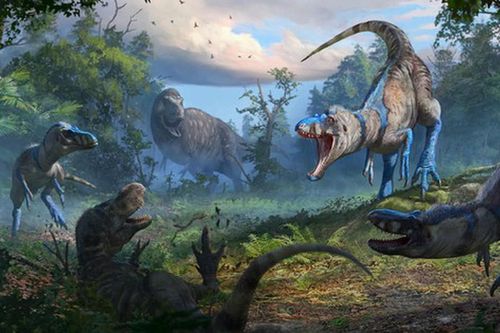 Loài quái vật chưa từng biết lộ mặt ở 'Suối Địa Ngục'