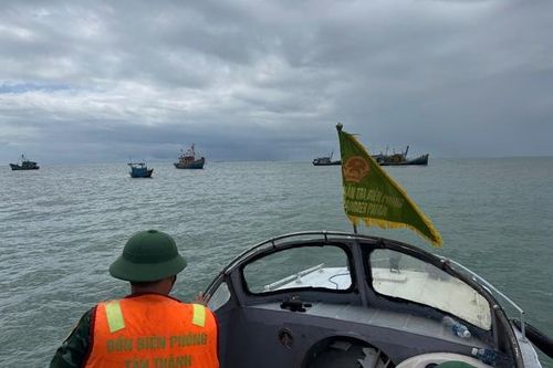 Lâm Đồng cấm toàn bộ tàu thuyền ra khơi, kích hoạt ứng phó cao nhất với bão số 15