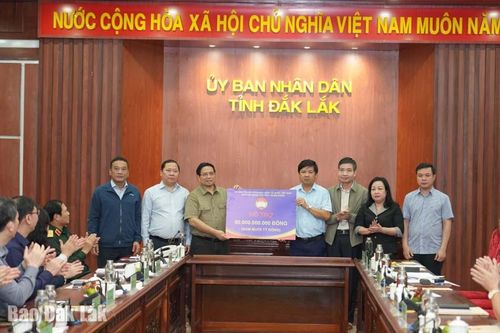 Ban Vận động Cứu trợ Trung ương phân bổ 150 tỷ đồng cho 4 tỉnh Khánh Hòa, Đắk Lắk, Gia Lai và Lâm Đồng