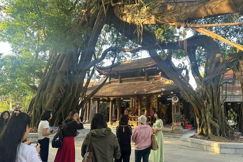 Khơi dậy nguồn lực nội sinh phát triển bền vững