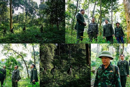 Tân Trào gắn bảo vệ rừng với phát triển du lịch sinh thái bền vững