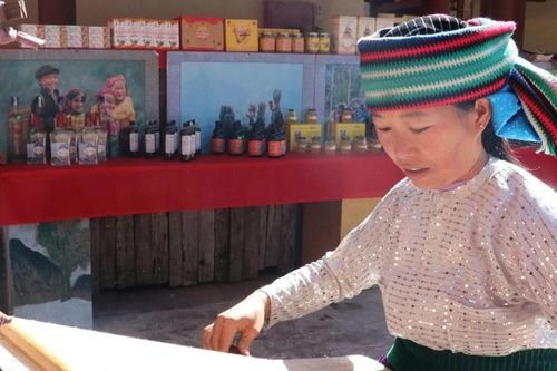 Nhiều trải nghiệm thu hút du khách dịp Lễ hội Hoa tam giác mạch