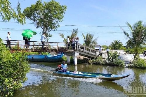 Bắc cầu mới bảo đảm an toàn đường đến trường cho học sinh vùng sông nước Cà Mau