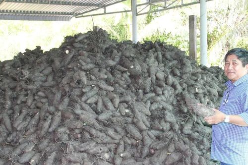 Sức bật từ hợp lực và quyết tâm