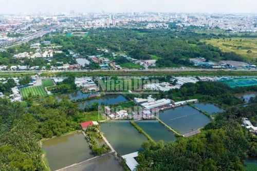 Hồi sinh Dự án Khu Liên hợp Thể dục thể thao quốc gia Rạch Chiếc
