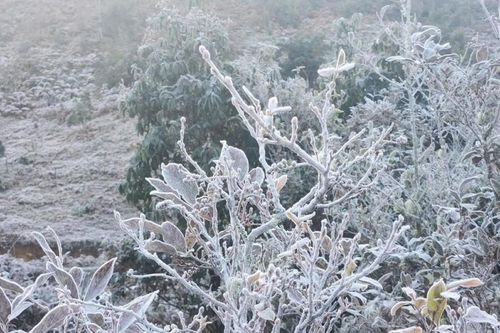 Lào Cai: Băng giá phủ trắng Y Tý tạo nên cảnh quan kỳ thú