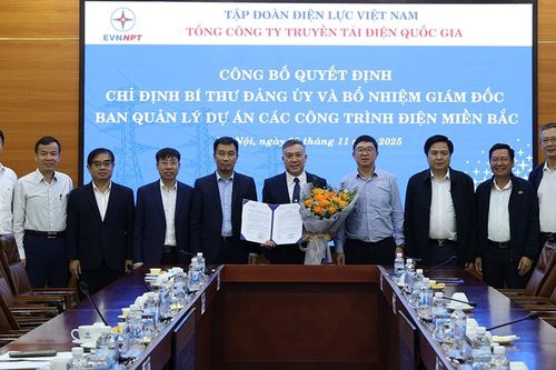 Trao Quyết định chỉ định Bí thư Đảng ủy và bổ nhiệm Giám đốc Ban Quản lý dự án các công trình điện miền Bắc