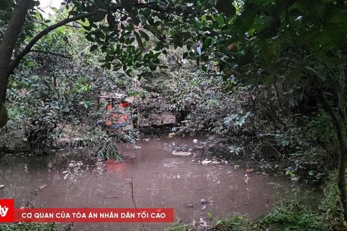 TP.HCM: Bé trai 5 tuổi tử vong dưới hồ nước từng là nơi khai thác đất