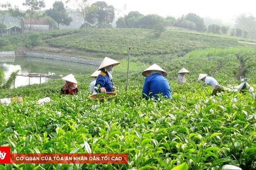 Thái Nguyên tăng tốc xây dựng nông thôn mới, tạo nền tảng giảm nghèo bền vững