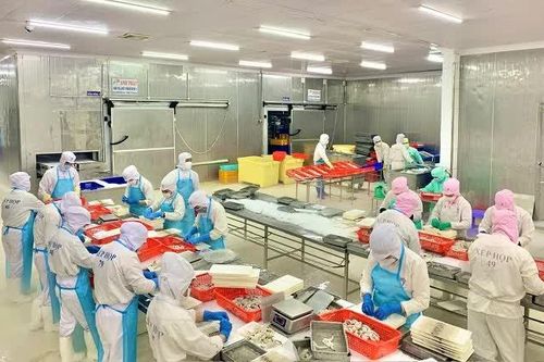 Ngành thuế Cà Mau 'về đích' sớm, nhiều chỉ tiêu vượt kế hoạch