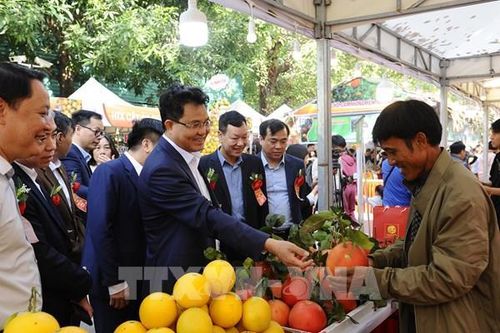 Hưng Yên: Đưa đặc sản cam đến gần hơn với người tiêu dùng Thủ đô