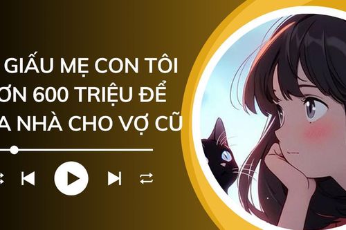 Audio: Bố giấu mẹ con tôi hơn 600 triệu để mua nhà cho vợ cũ