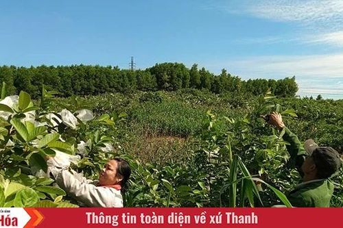 Những người ở lại...
