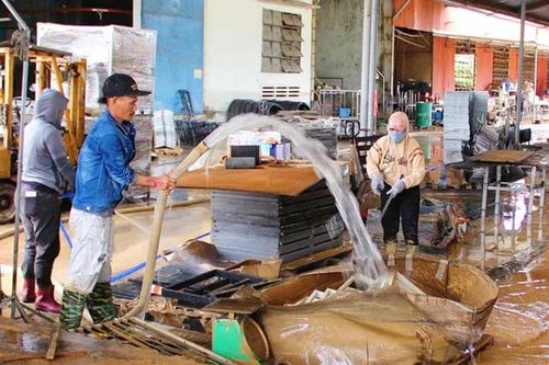 Doanh nghiệp nỗ lực gượng dậy sau bão lũ