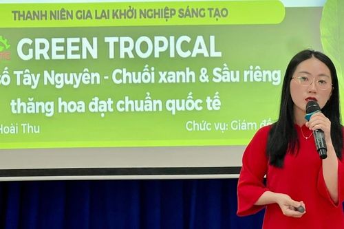 10 dự án vào chung kết cuộc thi 'Thanh niên Gia Lai khởi nghiệp sáng tạo'