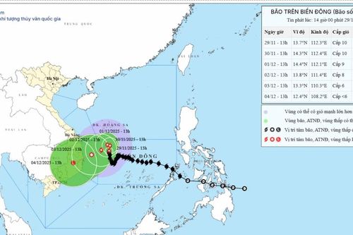 Bão số 15 di chuyển chậm về phía bờ biển Gia Lai-Đắk Lắk, tốc độ 5 km/h, gió giật cấp 13