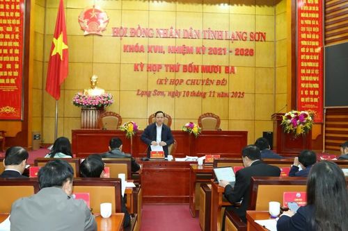 Ban Kinh tế - Ngân sách HĐND tỉnh thẩm tra nội dung trình kỳ họp thường lệ cuối năm
