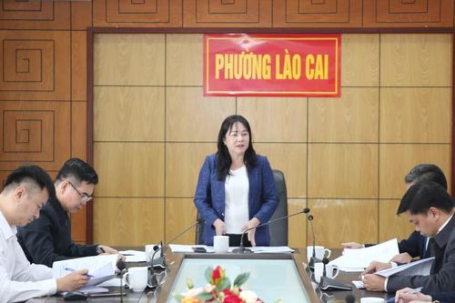 Phó Chủ tịch HĐND tỉnh Hoàng Thị Thanh Bình giám sát giải quyết kiến nghị cử tri tại phường Sa Pa, Lào Cai và xã Bát Xát