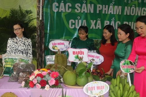 Nhiều mô hình sản xuất, kinh doanh ở nông thôn mới