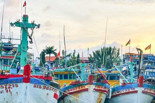 Gần 8.400 tàu thuyền Lâm Đồng đang neo đậu tránh bão an toàn