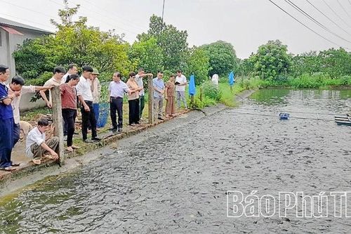 Ứng dụng khoa học công nghệ trong phát triển thủy sản