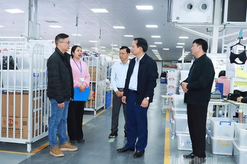 Đồng chí Vân Đình Thảo kiểm tra tình hình sản xuất, kinh doanh tại Khu công nghiệp Bình Vàng