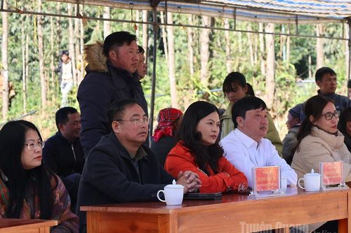 Hội thi bò đẹp xã Phố Bảng