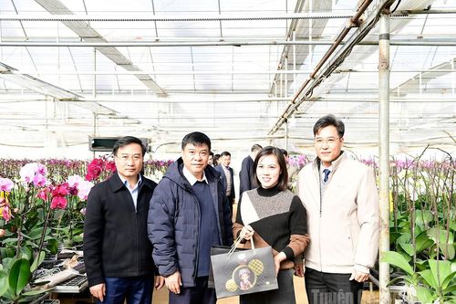 Đoàn công tác của tỉnh tham quan một số mô hình phát triển kinh tế nông nghiệp tại tỉnh Sơn La