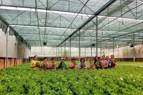 Định hình nông nghiệp đô thị tương lai, nông nghiệp trong lòng thành phố