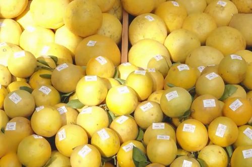Tăng kết nối vùng, đưa nông sản địa phương về Hà Nội