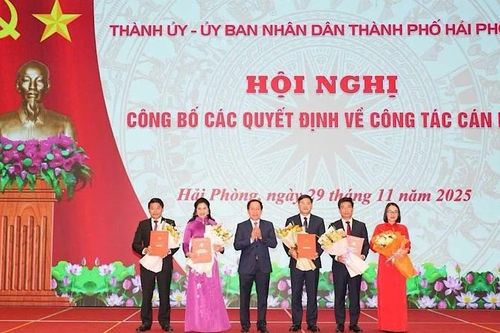 Hải Phòng: Nhiều cán bộ chủ chốt được phân công, điều động, bổ nhiệm