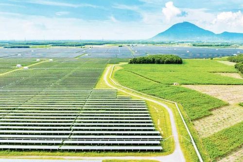 Điện mặt trời cho nông nghiệp bền vững