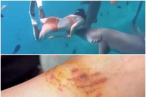 'Hot clip' một du khách Trung Quốc bị cá mập cắn khi đang lặn ở Maldives được lan truyền rộng rãi