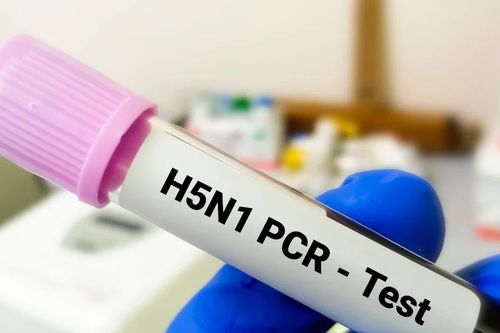 Bộ Y tế bổ sung 3 bệnh truyền nhiễm nguy hiểm vào nhóm A