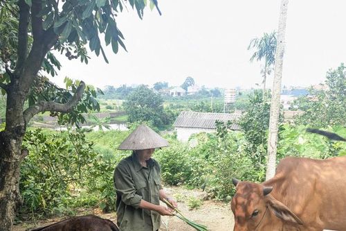 Giảm nghèo đa chiều có nhiều chuyển biến tích cực, rõ rệt qua từng năm