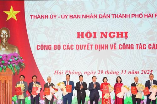 Hải Phòng điều động, bổ nhiệm nhiều cán bộ chủ chốt