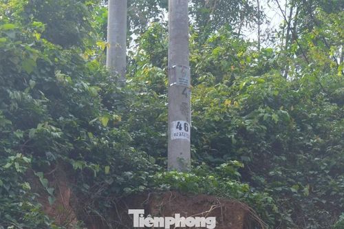 Cột điện đôi sụt móng, nghiêng ngả sau mưa bão