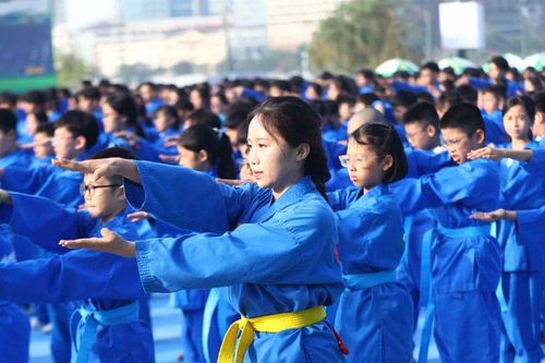 60 nghìn học sinh diễn võ nhạc Vovinam lập kỷ lục kép