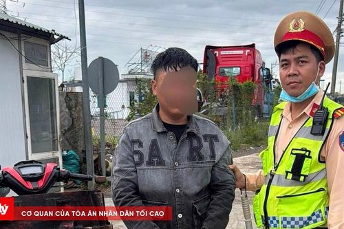 Gia Lai: CSGT bắt giữ thanh niên trộm mặt cọp xe tải trên Quốc lộ 1