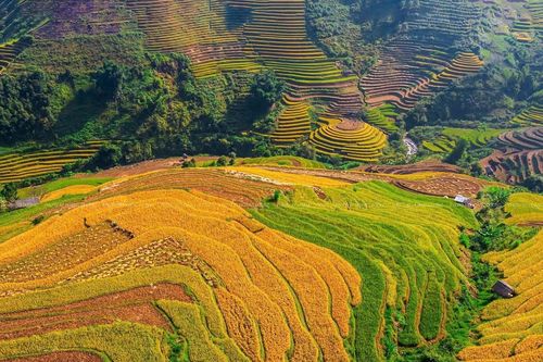 Khẩn trương hoàn thiện hồ sơ Báo cáo đề xuất chủ trương đầu tư Chương trình MTQG