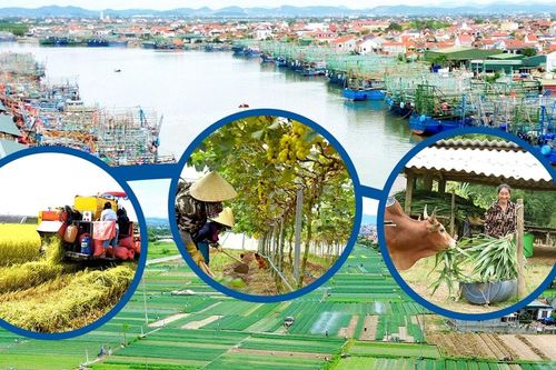 Hoàn thiện chính sách, tháo nút thắt cho bảo hiểm nông nghiệp