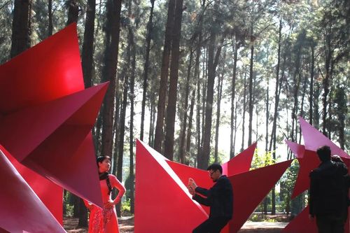 Bảo tàng nghệ thuật trong rừng tạo ra những di sản mới cho nghệ thuật đương đại VN