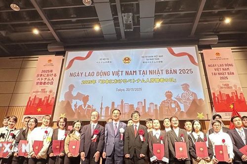Thúc đẩy hợp tác nhân lực trong quan hệ Đối tác Chiến lược Toàn diện Việt-Nhật