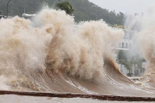Tin bão mới nhất: Bão số 15 Koto 'lạ thường' hầu như không di chuyển