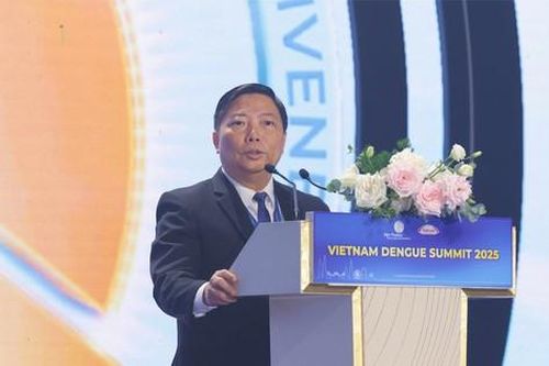 700 chuyên gia y tế tham gia Hội nghị khoa học toàn quốc về Sốt xuất huyết Dengue 2025