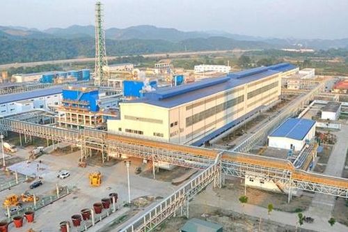 Vimico đối mặt nguy cơ hủy tư cách công ty đại chúng từ năm 2026