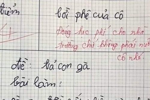 Bài văn tả con gà bị chấm điểm 3, cô giáo vội đính chính một điều
